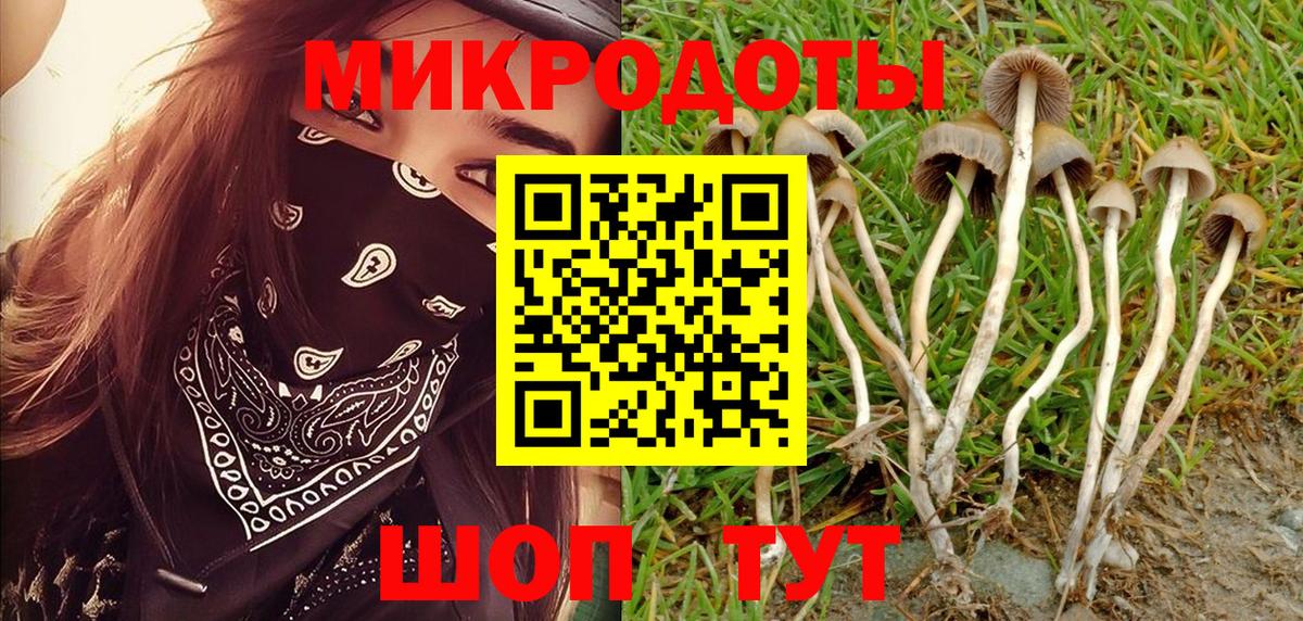 Псилоцибиновые грибы ЛСД Миллерово